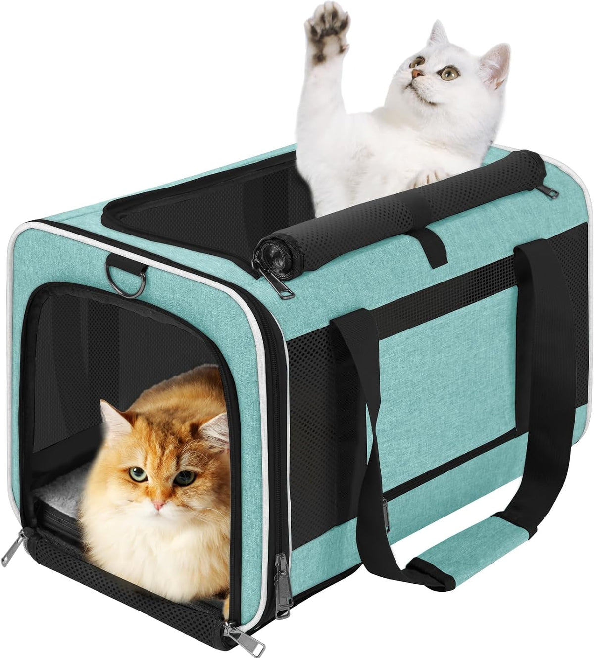 GAPZER Large Cat Carrier Soft, Collapsible Travel Pet Carry Bag, Small Dogs
