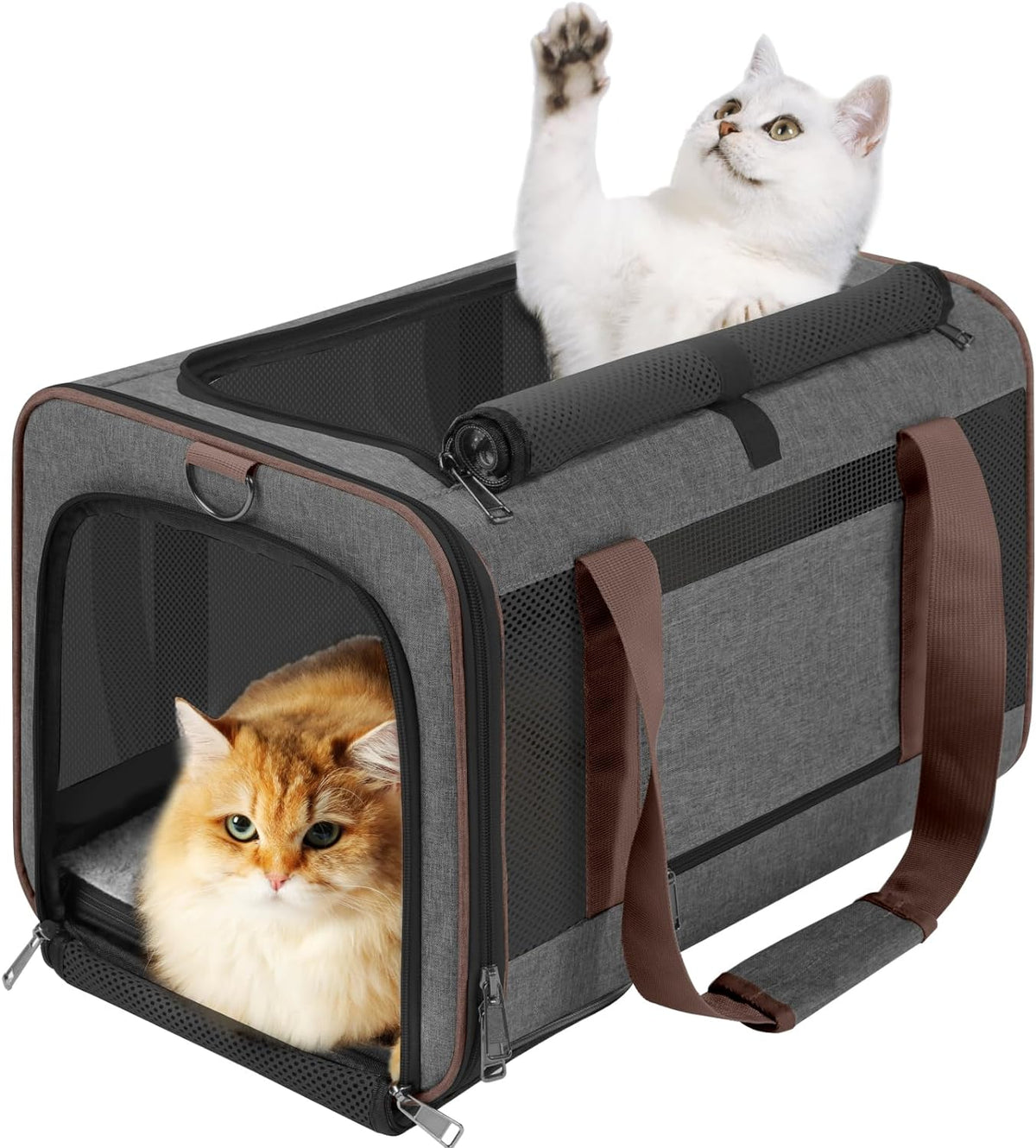 GAPZER Large Cat Carrier Soft, Collapsible Travel Pet Carry Bag, Small Dogs