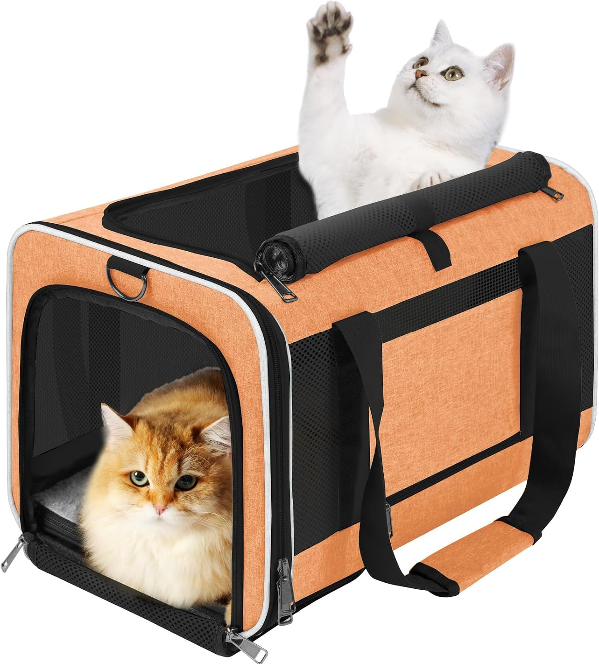 GAPZER Large Cat Carrier Soft, Collapsible Travel Pet Carry Bag, Small Dogs