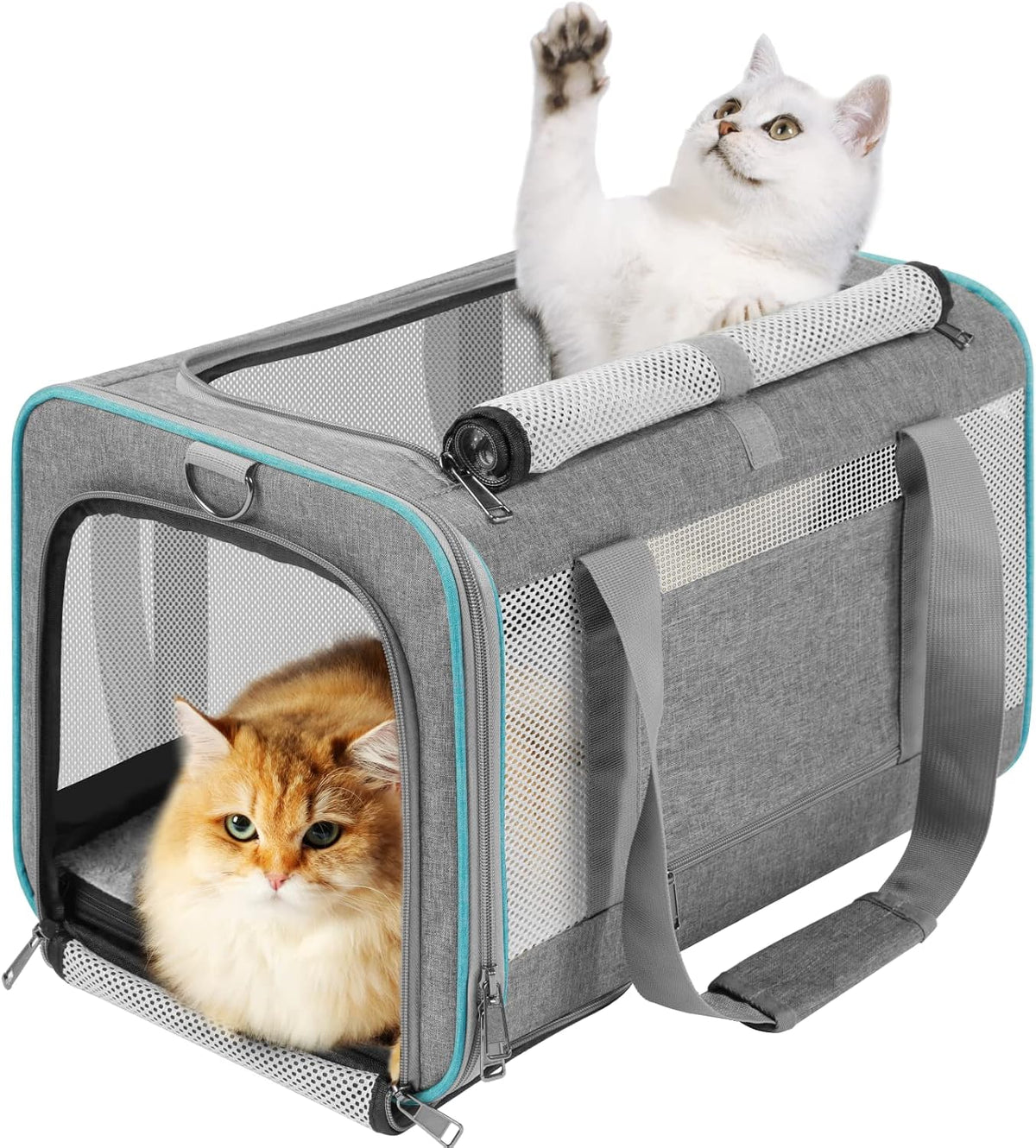 GAPZER Large Cat Carrier Soft, Collapsible Travel Pet Carry Bag, Small Dogs