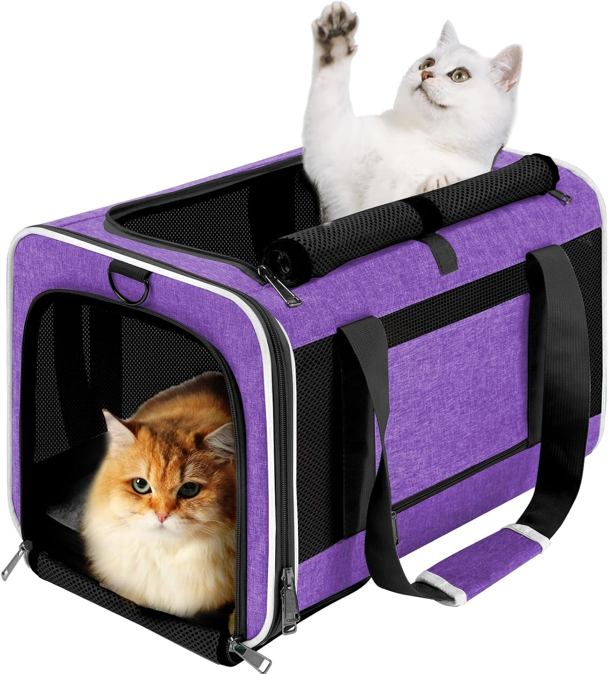 GAPZER Large Cat Carrier Soft, Collapsible Travel Pet Carry Bag, Small Dogs